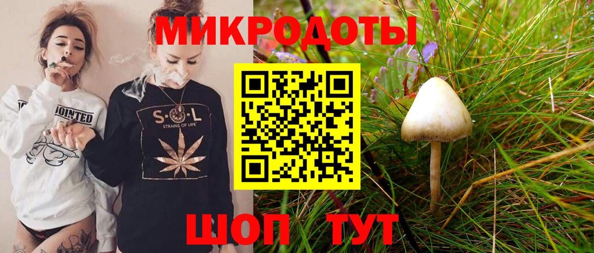 Гусиноозёрск  Галлюциногенные грибы ЛСД  Вход с VPN 